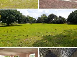  Land for sale in Binan City, Laguna, Binan City