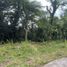  Land for sale in Rizal, Calabarzon, Antipolo City, Rizal