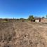  Land for sale in Tepic, Nayarit, Tepic