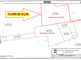  Land for sale in Villasis, Pangasinan, Villasis