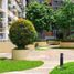 1 Habitación Apartamento en venta en Mandaluyong City, Metro Manila, Mandaluyong City, Eastern District, Metro Manila, Filipinas