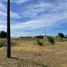  Land for sale in Parral, Linares, Parral