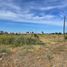  Land for sale in Parral, Linares, Parral