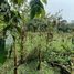  Grundstück zu verkaufen in San Miguel De Los Bancos, Pichincha, Mindo, San Miguel De Los Bancos