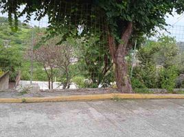  토지을(를) Temixco, 모렐 로스에서 판매합니다., Temixco