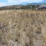  Land for sale in San Miguel De Urcuqui, Imbabura, Urcuqui, San Miguel De Urcuqui