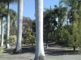  Grundstück zu verkaufen in Miacatlan, Morelos, Miacatlan