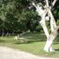 5 Bedroom Quinta for sale in Temixco, Morelos, Temixco