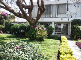 2 chambre Appartement for rent in Zócalo de Cuernavaca, Cuernavaca, Cuernavaca