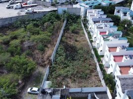  Land for sale in Amacuzac, Morelos, Amacuzac