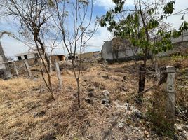 Grundstück zu verkaufen in Cuernavaca, Morelos, Cuernavaca, Morelos