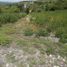  Land for sale in Cuernavaca, Morelos, Cuernavaca