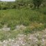  Land for sale in Cuernavaca, Morelos, Cuernavaca