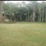  Land for sale in Atzacan, Veracruz, Atzacan