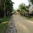  Land for sale in Atzacan, Veracruz, Atzacan