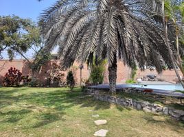 在Lima出售的4 卧室 别墅, La Molina, Lima, Lima