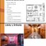 Appartement 2 chambre à vendre à San Luis Potosi, San Luis Potosi, San Luis Potosi, San Luis Potosi