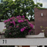 Maison 3 chambre à vendre à Alvaro Obregon, Mexico City, Alvaro Obregon, Mexico City