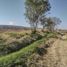  Land for sale in Tarimbaro, Michoacan, Tarimbaro
