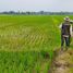  Grundstück zu verkaufen in Majalengka, West Jawa, Jatiwangi, Majalengka, West Jawa