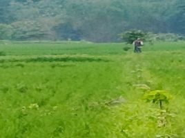  Grundstück zu verkaufen in Majalengka, West Jawa, Jatiwangi, Majalengka, West Jawa