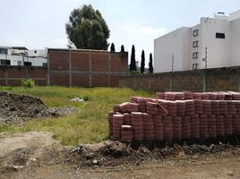  Terreno (Parcela) en venta en San Gregorio Atzompa, Puebla, San Gregorio Atzompa, Puebla, México