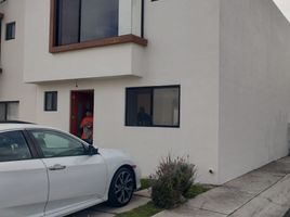 Appartement 2 chambre à louer à El Marques, Queretaro, El Marques, Queretaro