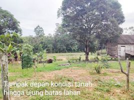  Grundstück zu verkaufen in Balikpapan, East Kalimantan, Balikpapan Utara, Balikpapan, East Kalimantan