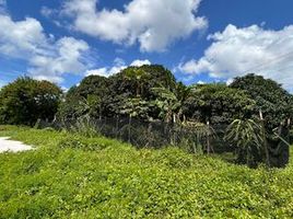  Terrain for sale in Malvar, Batangas, Malvar