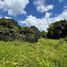  Terrain for sale in Malvar, Batangas, Malvar