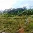  Land for sale in Bogor, West Jawa, Jonggol, Bogor