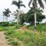  Land for sale in Santo Tomas, Batangas, Santo Tomas