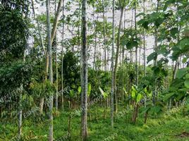  Grundstück zu verkaufen in Bogor, West Jawa, Jonggol