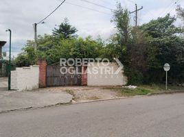  Land for sale in Piedecuesta, Santander, Piedecuesta