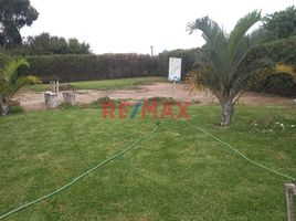  Terreno (Parcela) en venta en Asia, Lima, Asia