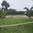  Terreno (Parcela) en venta en Asia, Lima, Asia