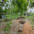  Land for sale in Cebu Central Visayas, Oslob