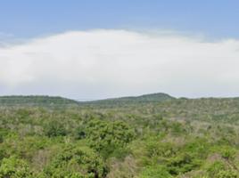  토지을(를) San Ignacio, 시날로아에서 판매합니다., San Ignacio