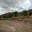  Land for sale in Paute, Azuay, Paute, Paute