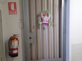 3 Schlafzimmer Appartement zu verkaufen in Puente Piedra, Lima, Puente Piedra