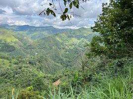 Studio Villa zu verkaufen in La Vega, Cundinamarca, La Vega