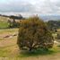  Terreno (Parcela) en venta en Combita, Boyaca, Combita