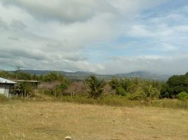  Land for sale in Zamboanguita, Negros Oriental, Zamboanguita