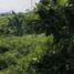  Land for sale in Puncak Gunung Mas Tea Gardens, Cisarua, Megamendung