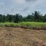  Land for sale in Cavite, Calabarzon, Tagaytay City, Cavite