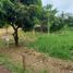  Land for sale in Cavite, Calabarzon, Tagaytay City, Cavite