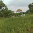  Land for sale in Lumban, Laguna, Lumban