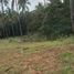  Land for sale in Lumban, Laguna, Lumban