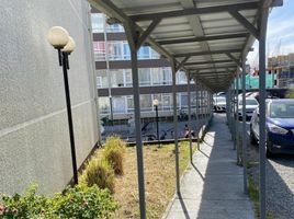 3 Habitación Apartamento en venta en Puerto Montt, Llanquihue, Puerto Montt