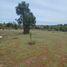  Land for sale in San Clemente, Talca, San Clemente